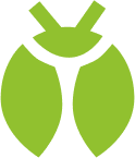 bug